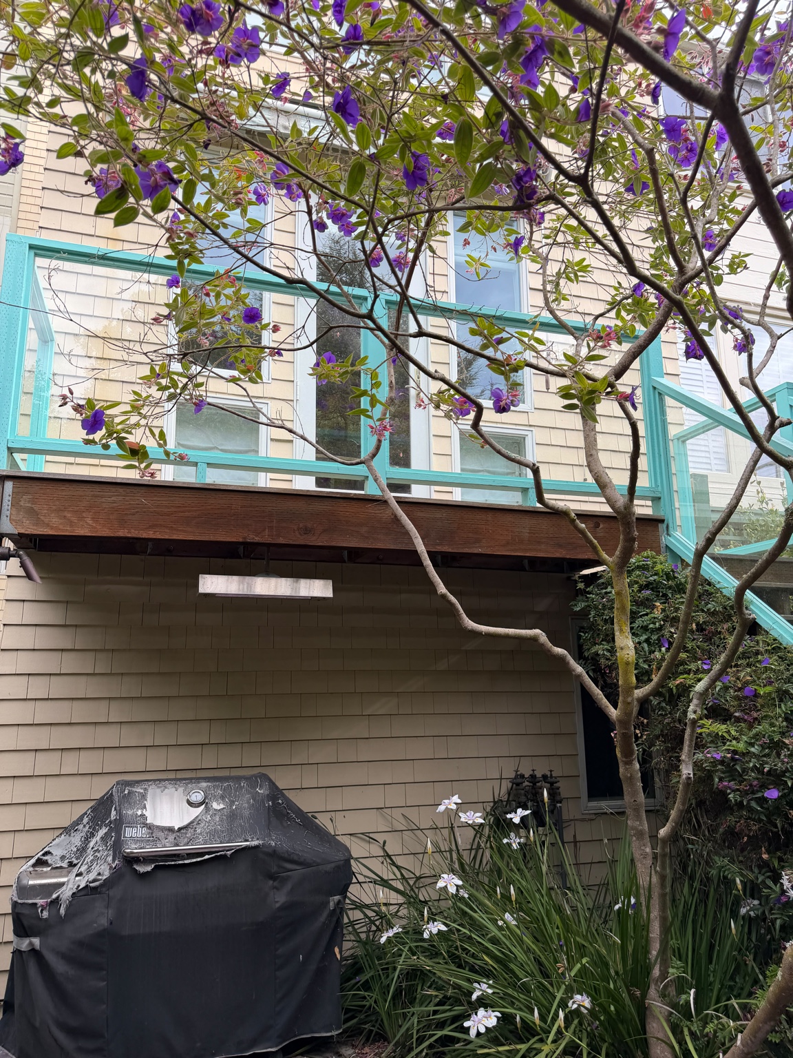 Rear deck overlooking the garden