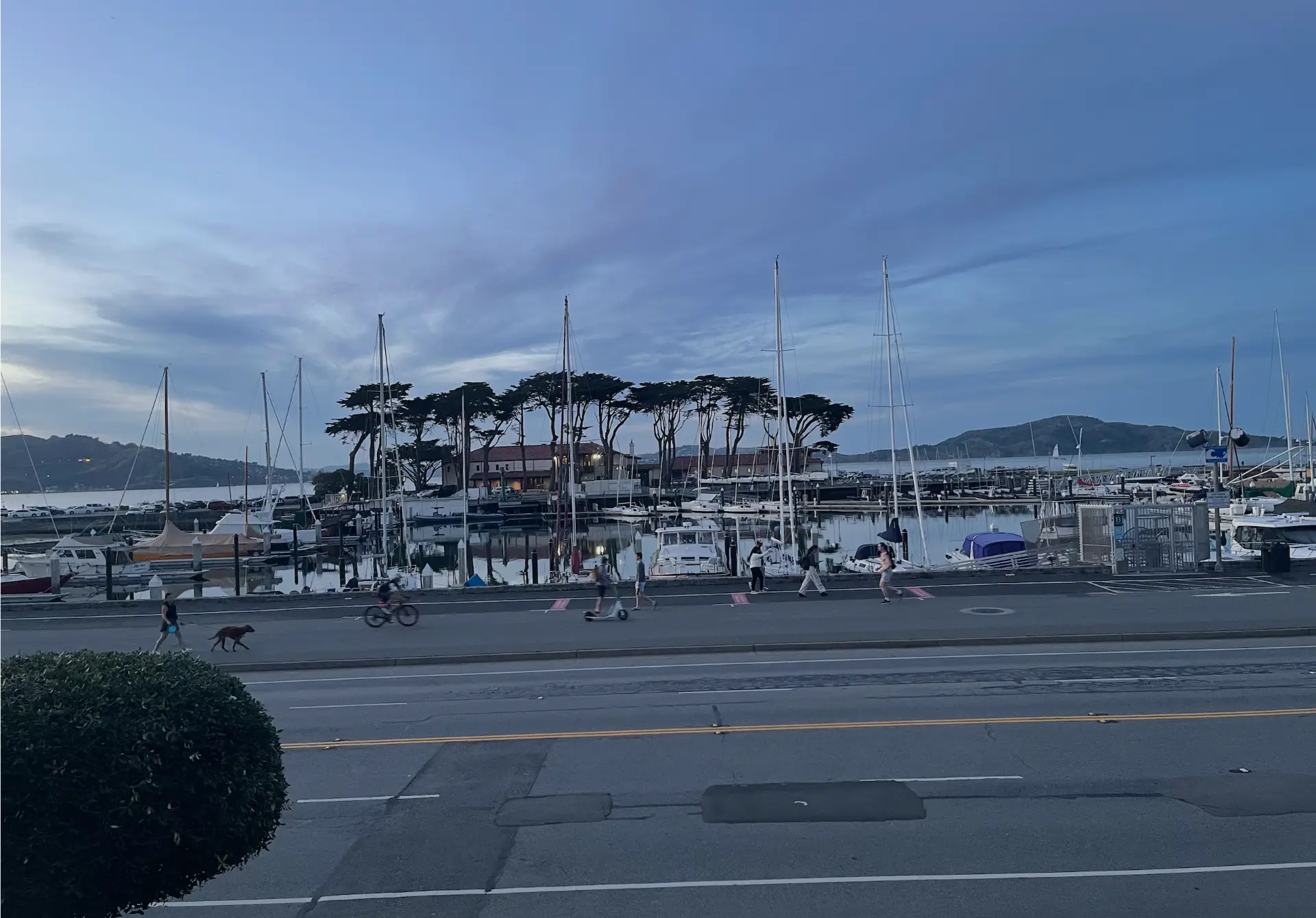 The harbor and cypress trees at dusk from Marina Boulevard