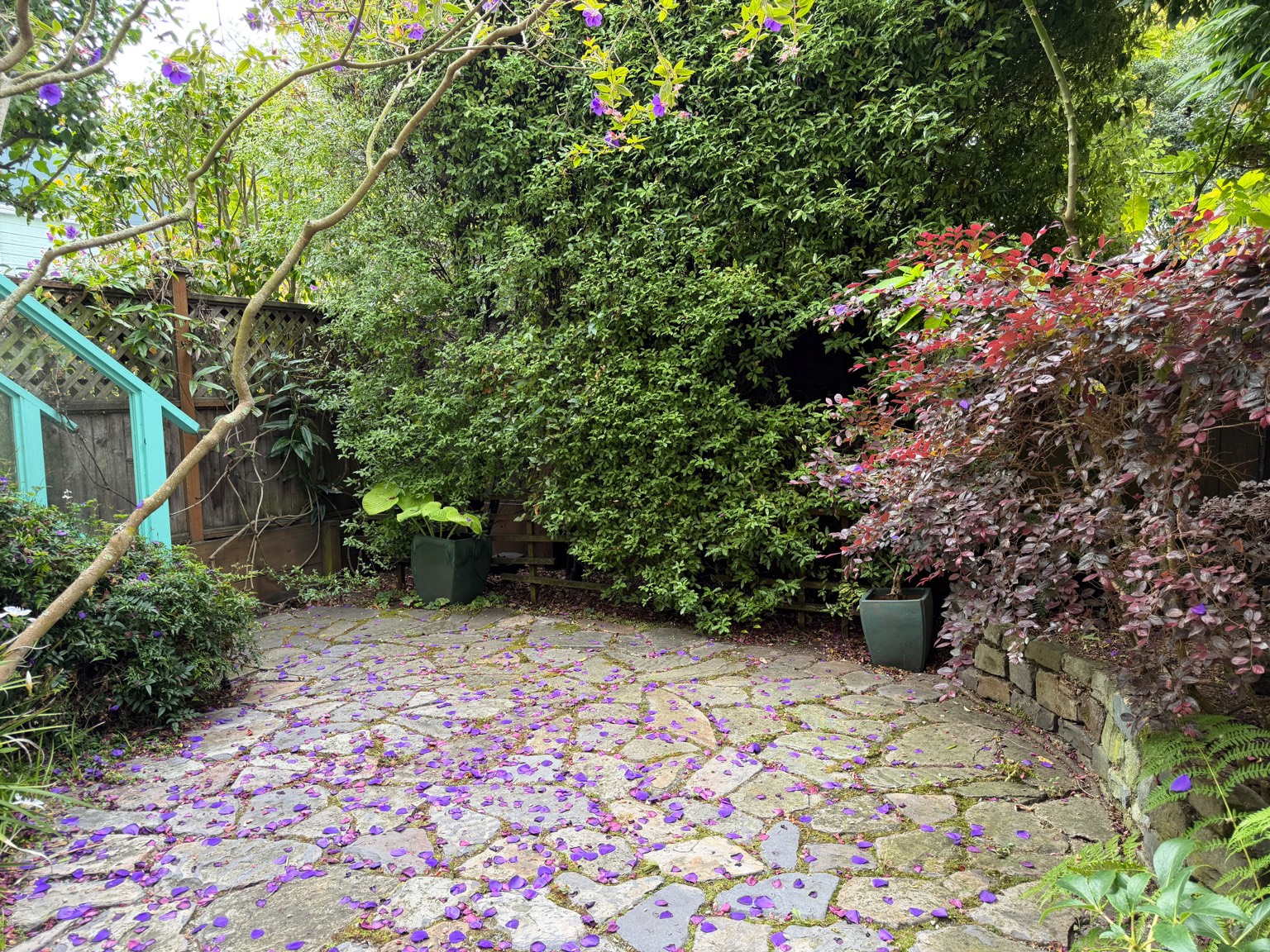 Private landscaped garden with flowering plants